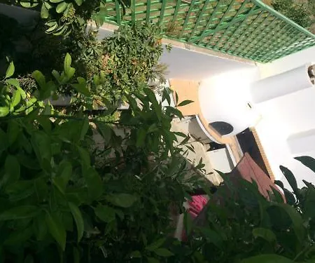 Aparthotel Irida Psari Forada