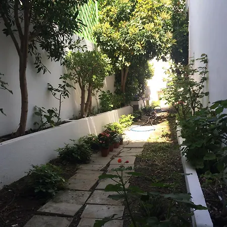 Irida Psari Forada